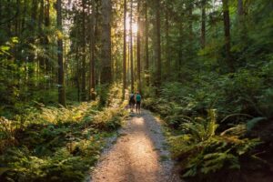 Man-and-Woman-Hikers-Admiring-Sunbeams-Streaming-Through-Trees-cm